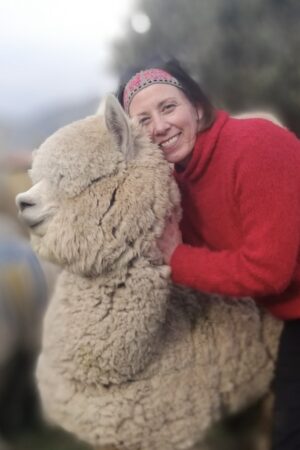 Alpacka Garn